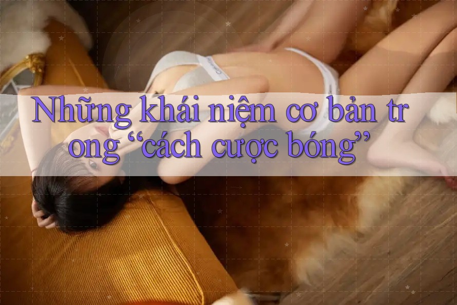 Những khái niệm cơ bản trong “cách cược bóng”
