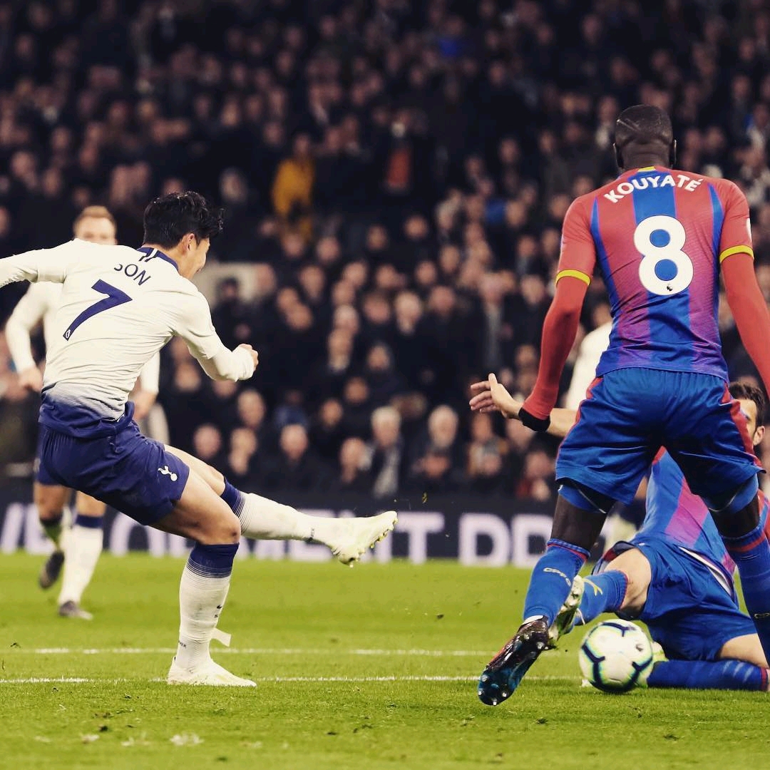 合理的培养 合理的培养